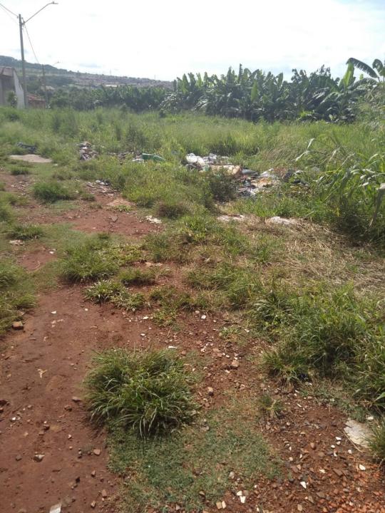 Foto 12 de 19 — Reclamação: “Onde deveria ser uma rua, só tem mato, lixo e água parada”, diz morador